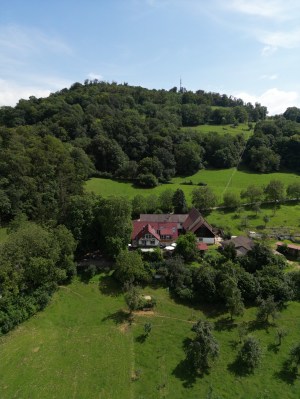 Der Schönberghof unter der bewaldeten Bergkuppe, davor Wiesen mit Obstbäumen, Luftaufnahme